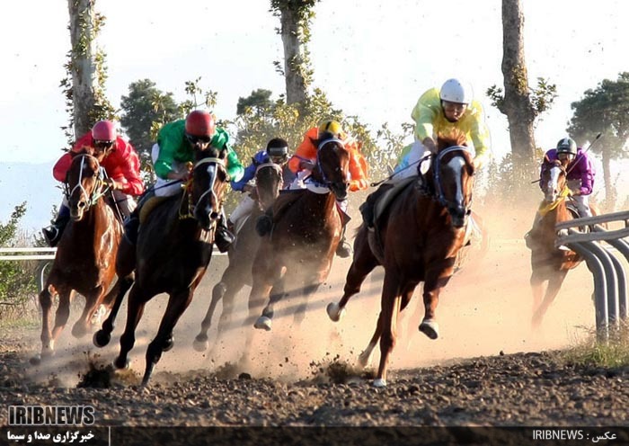 پیمان قلرعطا و علیمحمد غراوی چابکسواران برتر هفته شانزدهم کورس زمستانه گنبدکاووس