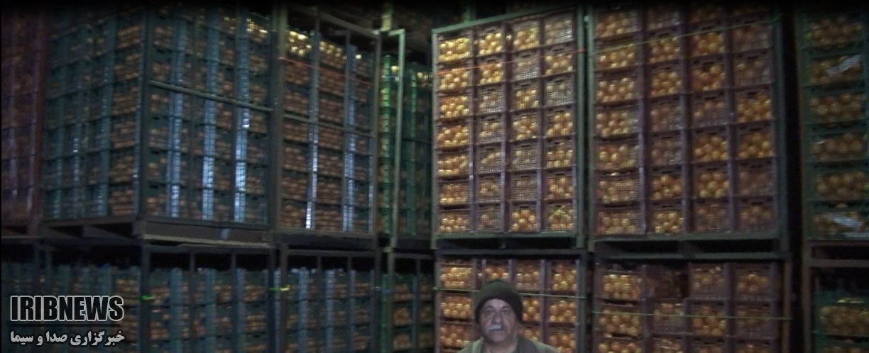 میوه شب عید کُردستان زیر قیمت بازار