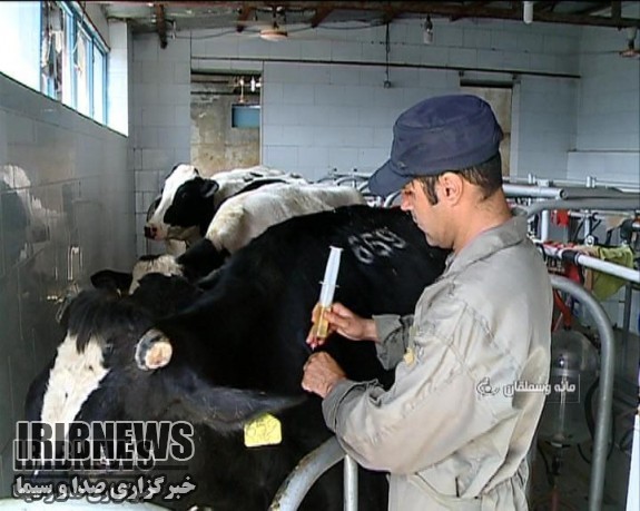 شناسایی 29 کانون تب برفکی در خراسان شمالی