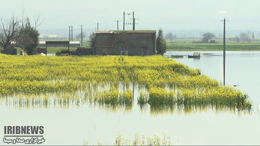 دریای غم کشاورزان دریای غم کشاورزان