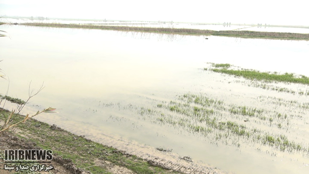 دریای غم کشاورزان