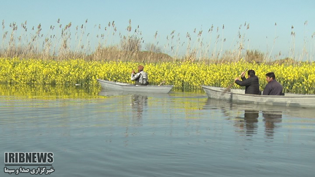 دریای غم کشاورزان