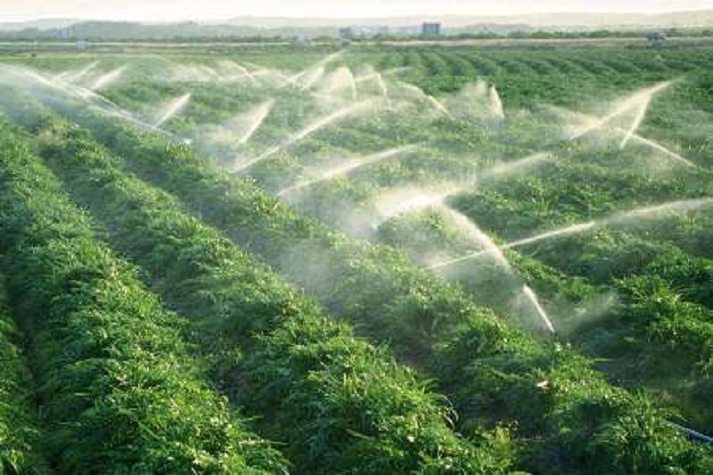 ادامه اجرای طرح های مصوب ستاد احیا دریاچه ارومیه به آبیاری نوین