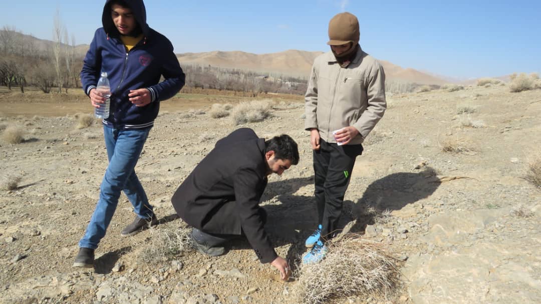 اجرای طرح بیابان زدایی