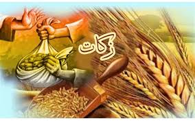 تجلیل از مودیان زکات  زاوه