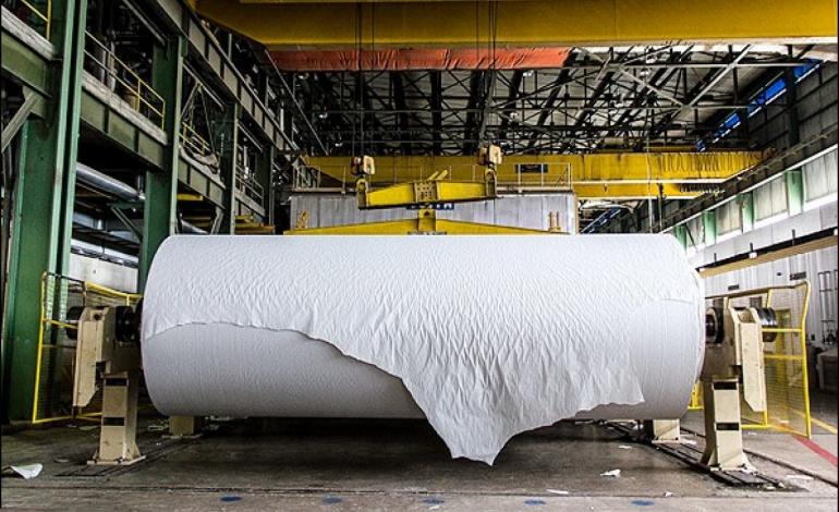 وزرا و بانک مرکزی را پای بحران کاغذ می&zwnj;آوریم