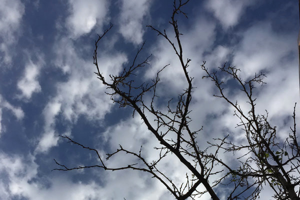 هوای کردستان سردتر شود