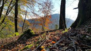 گردشگری روستایی از مهمترین برنامه های نوروزی تربت حیدریه گردشگری روستایی از مهمترین برنامه های نوروزی تربت حیدریه