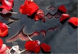 یادواره شهدای مدفون در بقاع متبرکه تربت حیدریه