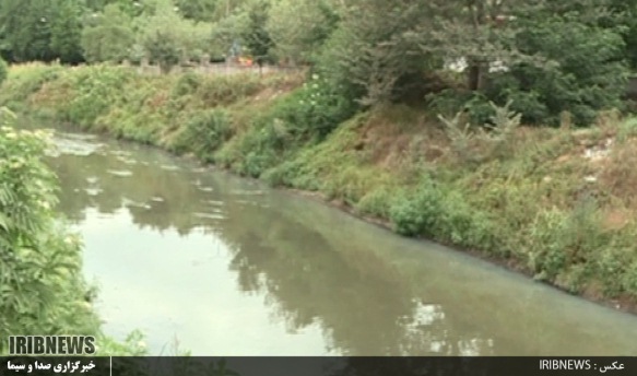 گرفتگی عروق گوهر رود و زرجوب با فاضلاب