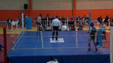 آذربايجان شرقی، قهرمان مسابقات هنر‌های رزمی کشور