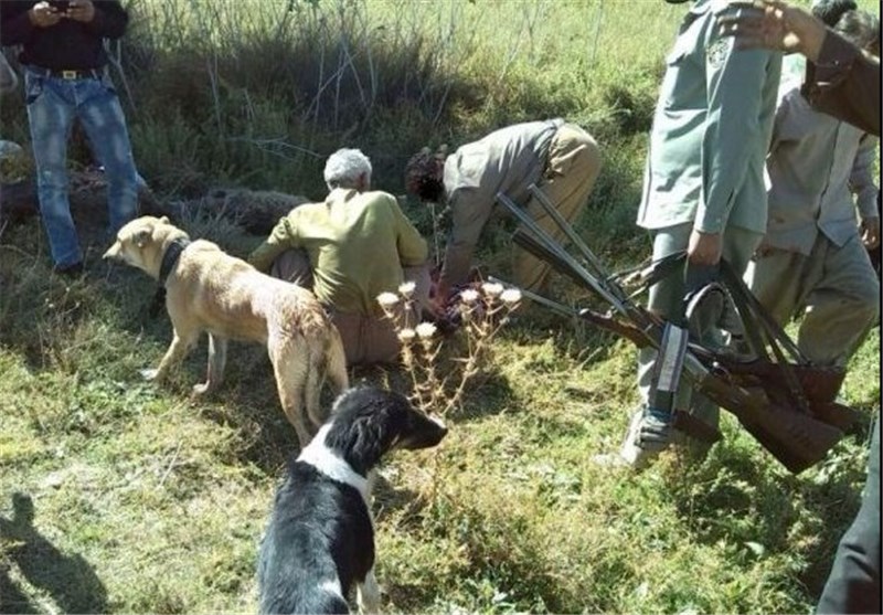 تالاب های چهارمحال و بختیاری زیستگاه امن پرندگان