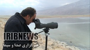 تالاب های چهارمحال و بختیاری زیستگاه امن پرندگان