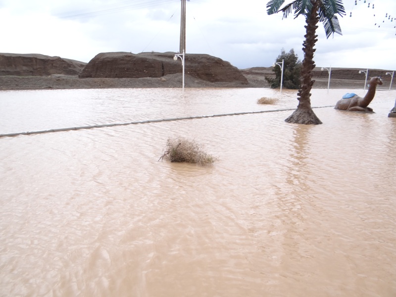 خسارت  5 میلیارد تومانی سیل  دیشب در بردسکن