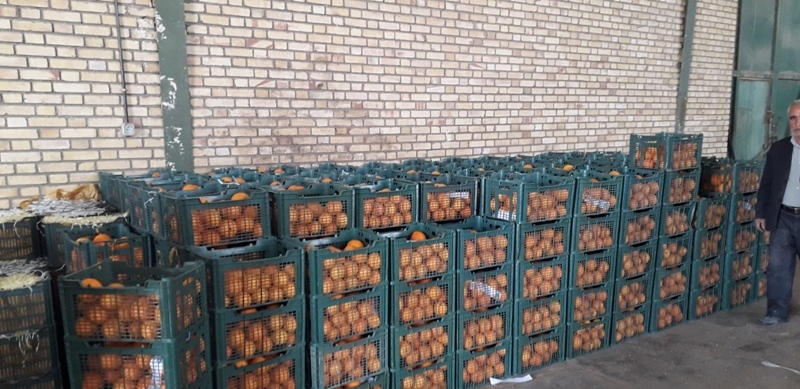 توزیع 80 تن میوه  نوروزی در بردسکن