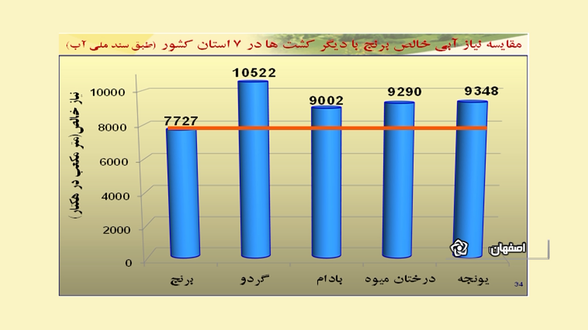 شالی پوشالی