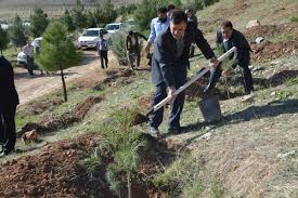 غرس یک میلیون نهال در چهارمحال و بختیاری غرس یک میلیون نهال در چهارمحال و بختیاری