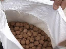 کشف و توقیف هفت تن گردوی قاچاق