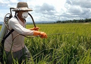 اجرای طرح مبارزه با آفت سن گندم در مزارع قزوین