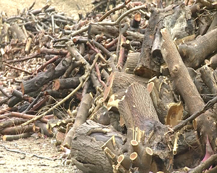 .به خاطر یک مشت اسکناس .به خاطر یک مشت اسکناس