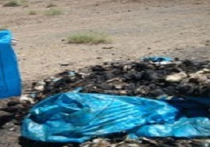 رها کردن تلفات طیور در مهرگان