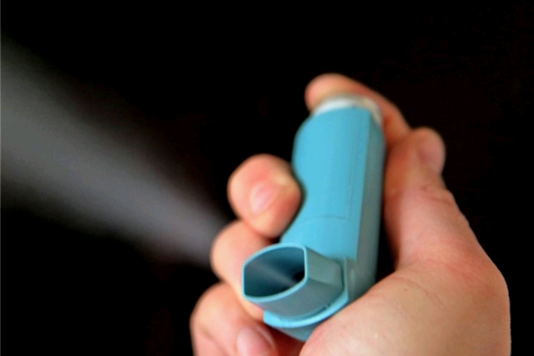 برگزاری همایش آسم و آلرژی در شیراز