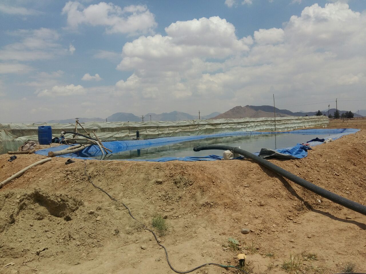 غرق شدگی دو کودک  در استخر ذخیره آب