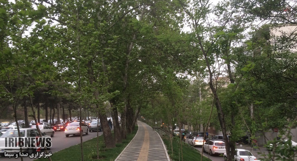 وزش باد مهمترین پدیده جوی استان زنجان