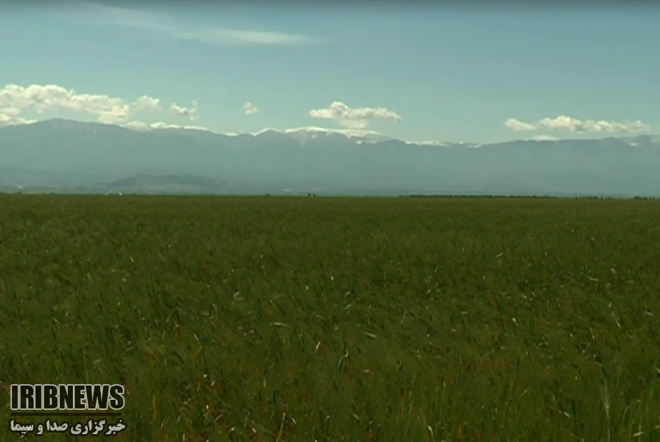 گزارش مکتوب ...... نجات آب و خاک