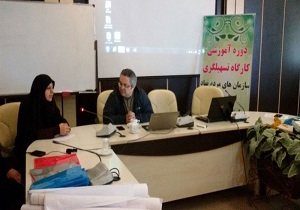 کاهش معضلات اجتماعی از بازوی توانمند سازمان های مرم نهاد