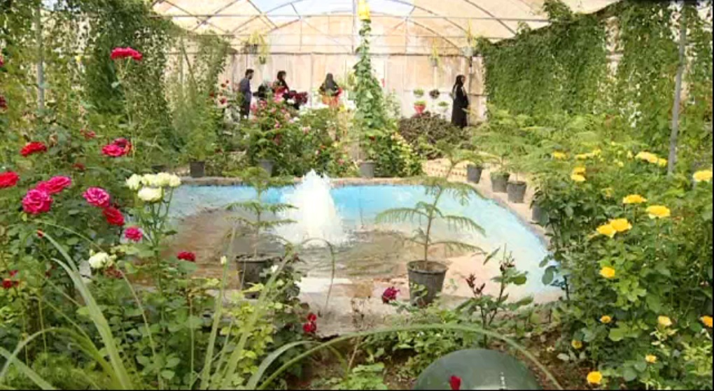 وقتی گل اراده با همت و پشتکار شکفته می شود