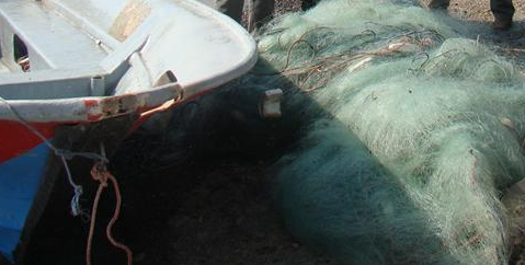 جمع آوری بیش از 20 متر دام  ماهیگیری