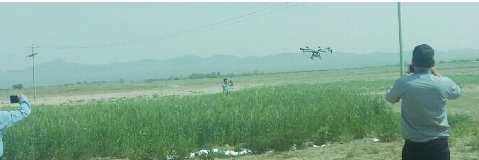 سم پاشی مزارع گندم بردسیر با پهپاد