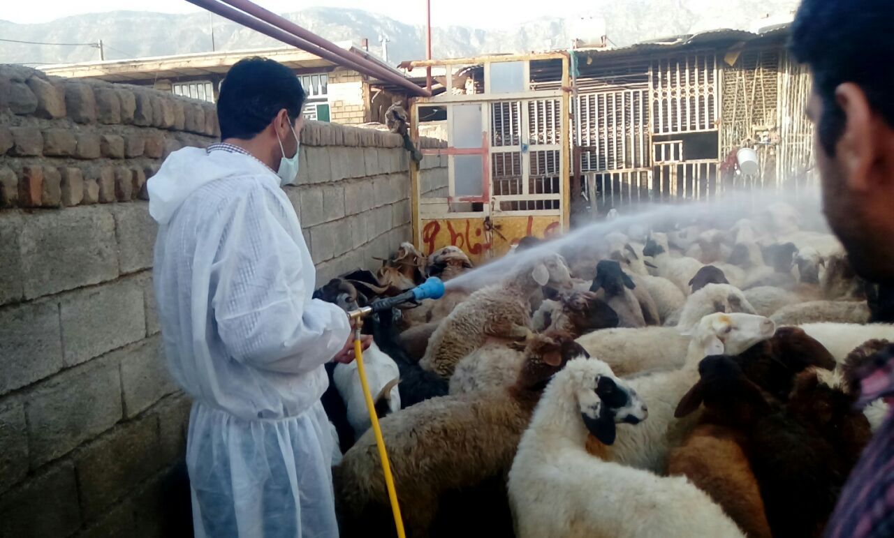 سمپاشی رایگان روستاهای گیلانغرب انجام شد سمپاشی رایگان روستاهای گیلانغرب انجام شد