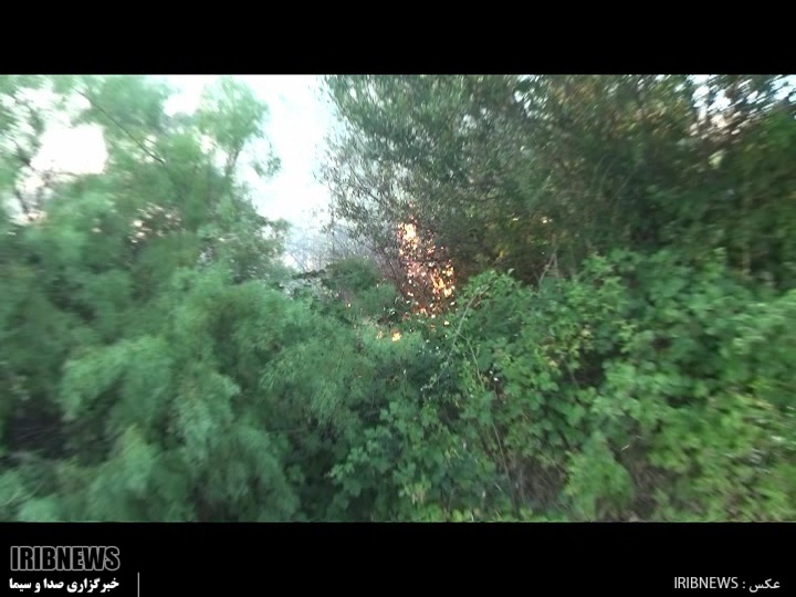 سرایت آتش از اراضی جمهوری آذربایجان به باغات سرایت آتش از اراضی جمهوری آذربایجان به باغات