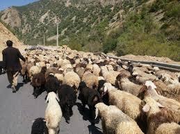 ظرفیتی بی نظیر برای توسعه البرز