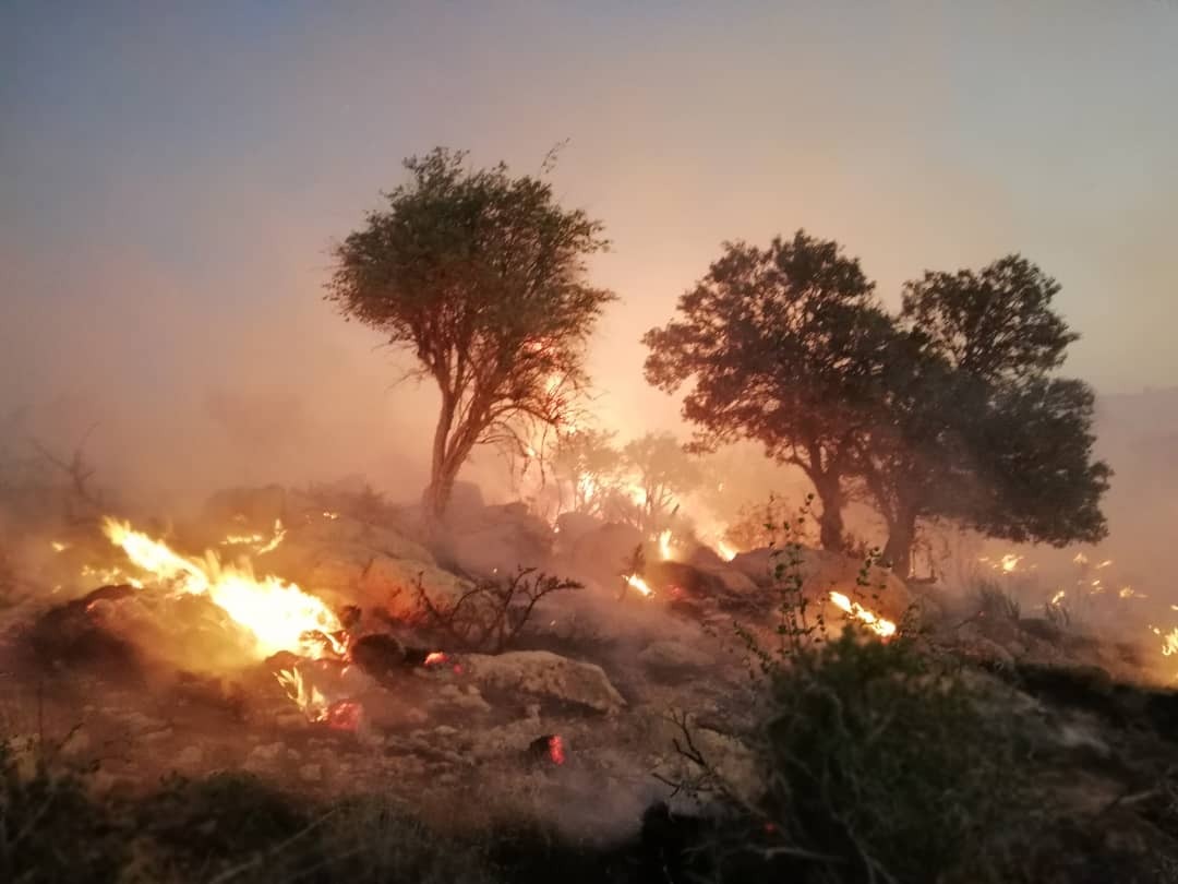 کوه بِرِز همچنان می سوزد