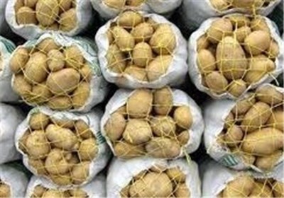 خرید تضمینی سیب زمینی بهاره به ارزش 15 میلیارد ریال