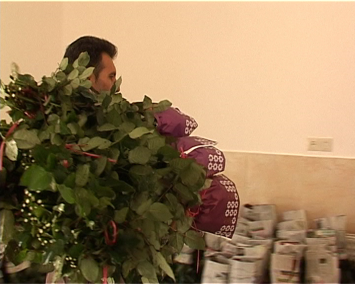 وقتی کویر، گلستان می&zwnj;شود