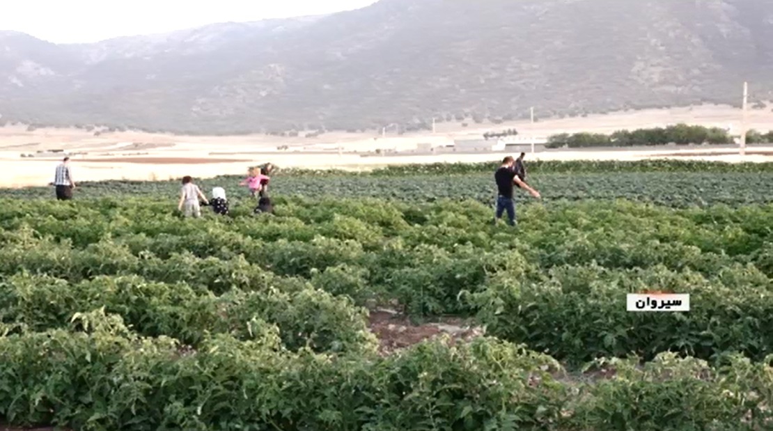 همت و تلاش براي توليد و اشتغال + گزارش