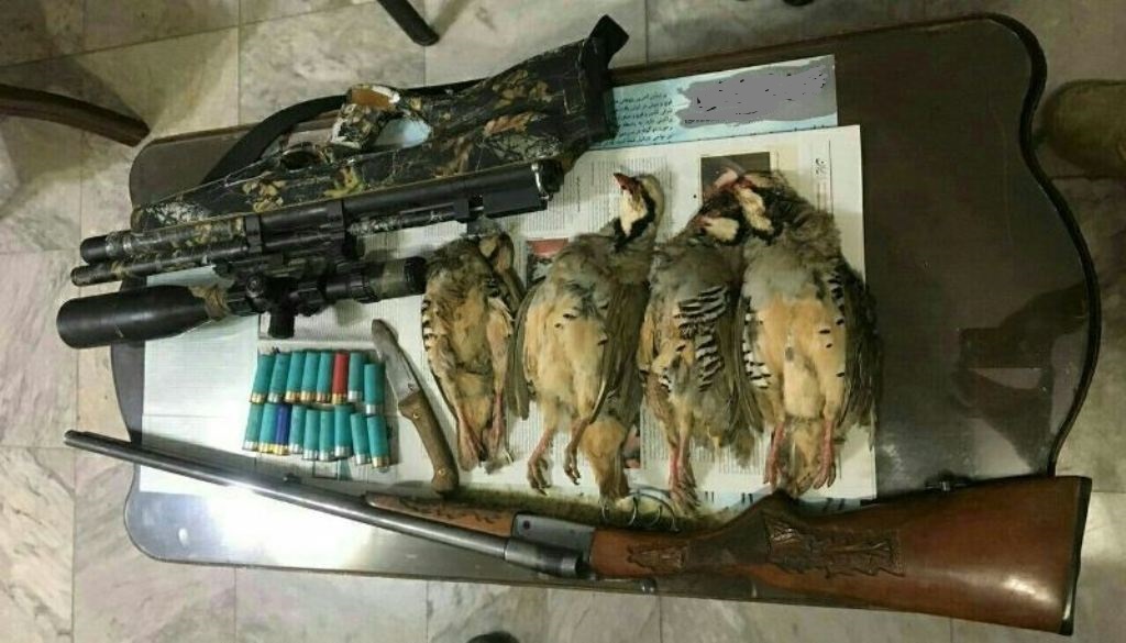 دستگیری سه متخلف شکار و صید