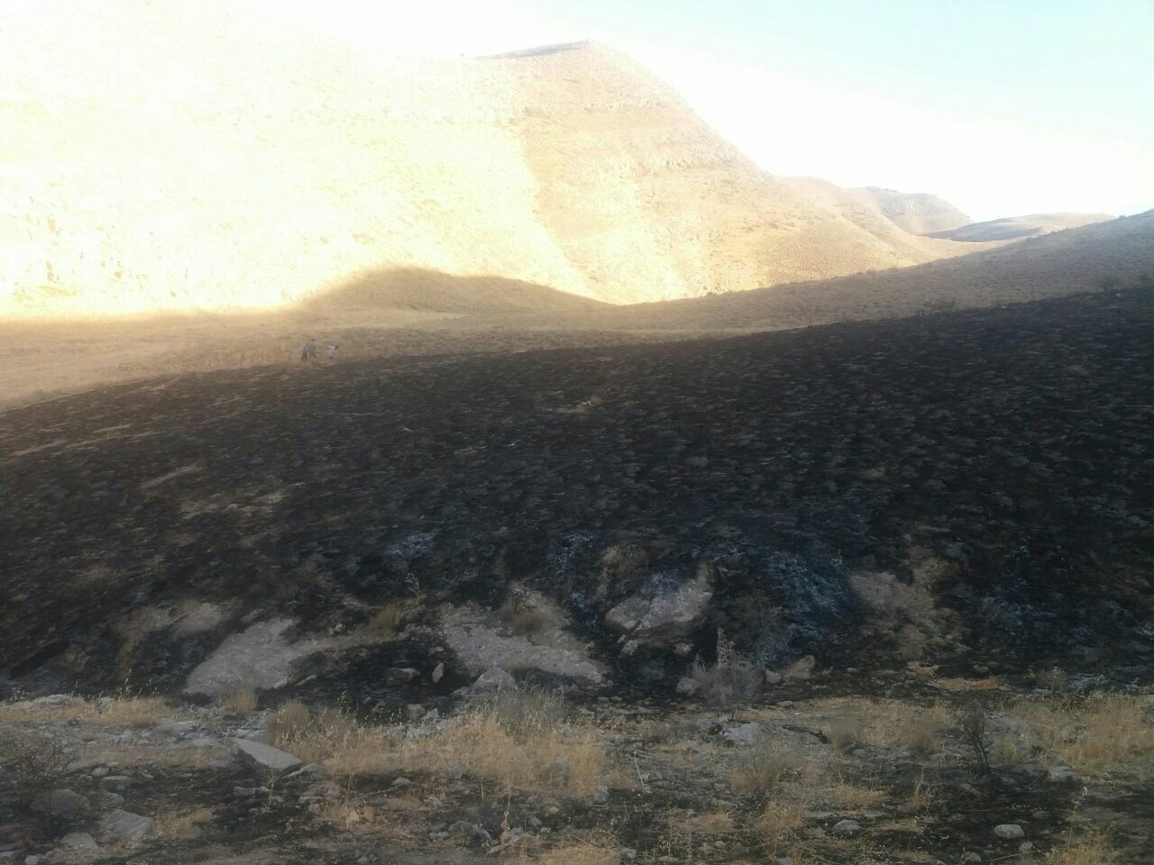 آتش سوزی بخشی ازمراتع درگز مهار شد.