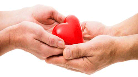 بخش پیوند اعضای دانشگاه علوم پزشکی شیراز، پیشگام در دنیا