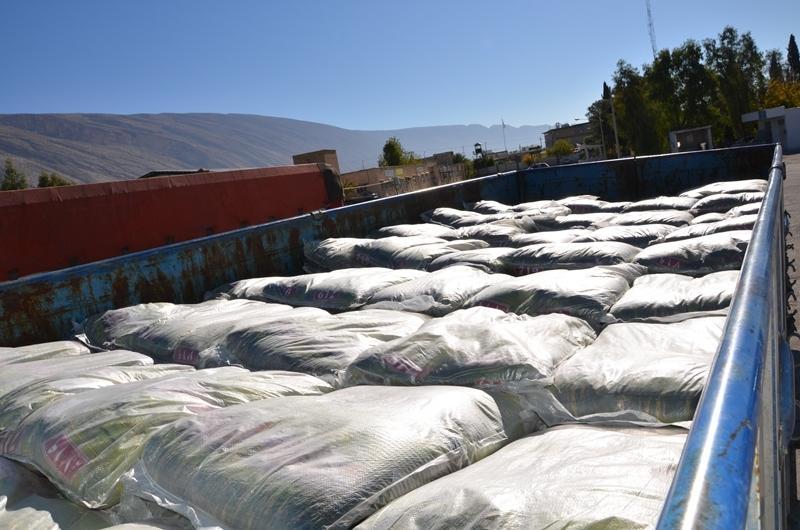 کشف بیش از 24تن برنج قاچاق در شهرضا