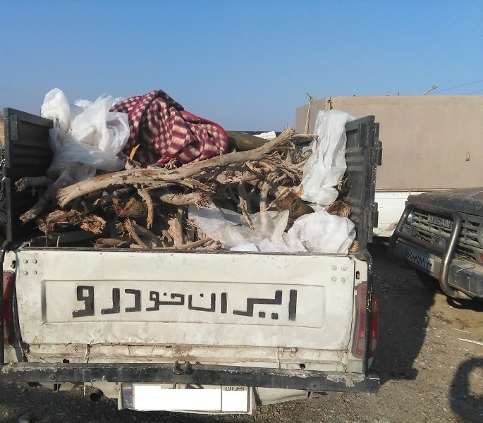 دستگیری متخلفانِ قطعِ درختانِ تاغ، در سبزوار دستگیری متخلفانِ قطعِ درختانِ تاغ، در سبزوار
