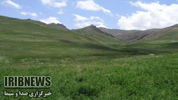 توقیف 75 دستگاه مخرب منابع طبیعی در زنجان توقیف 75 دستگاه مخرب منابع طبیعی در زنجان