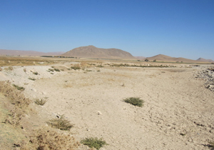 تبدیل سه دشت کشاورزی به کانون اصلی گرد و غبار تبدیل سه دشت کشاورزی به کانون اصلی گرد و غبار