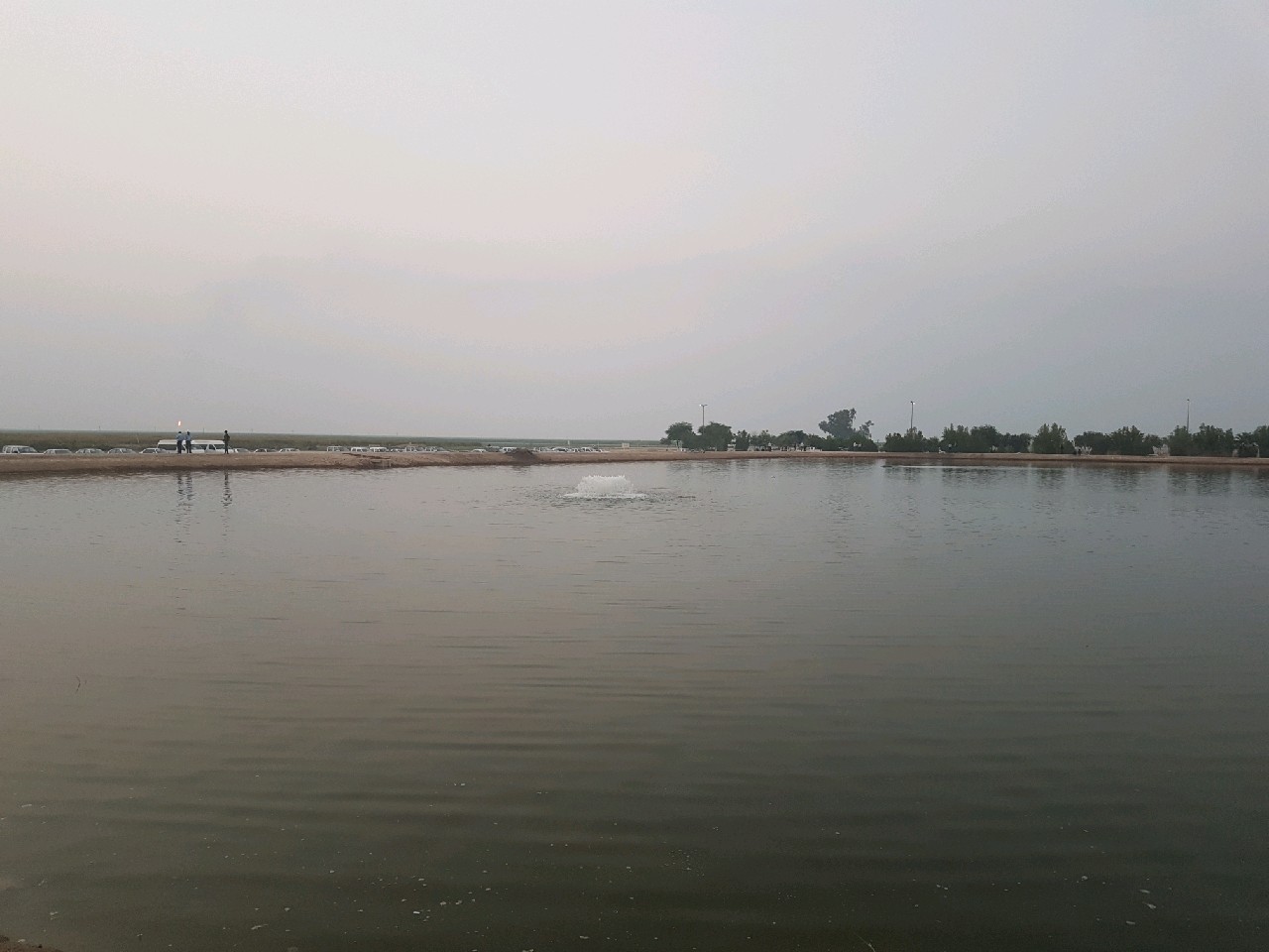 &nbsp;برداشت ماهی و میگو از زهاب های شور &nbsp;