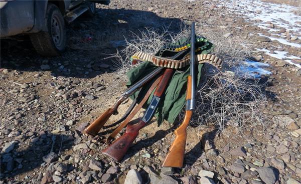 عاملين شکار غير مجاز دستگیر شدند عاملين شکار غير مجاز دستگیر شدند