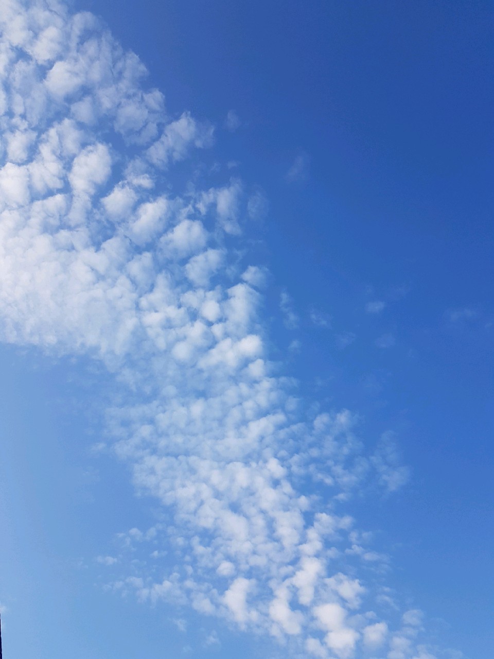 ورود سامانه باران زای جدید &nbsp;&nbsp;&nbsp;